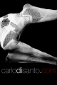 Carlo Di Santo