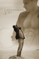 FLAVIO D'ANGELO