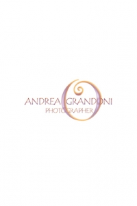 Andrea Grandoni