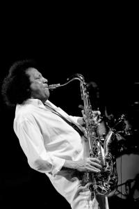 maurizio fatticcioni