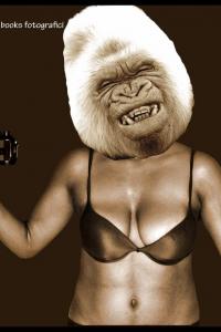 yeti